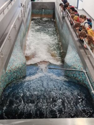 Woher kommt unser Trinkwasser? (Bild vergrößern)