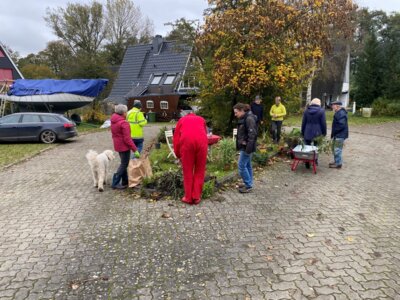 Meldung: Pflanzentauschbörse