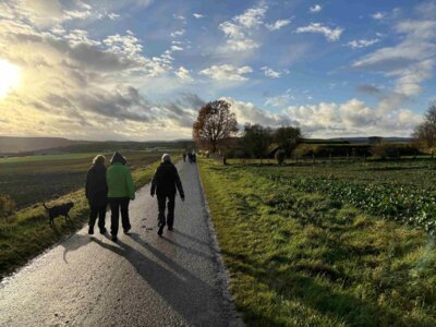 Bestes Wanderwetter (Bild vergrößern)