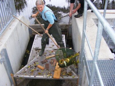 vor der Fischerfassung steht eine aufwändige Reinigung der Reuse