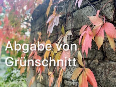 🍂 Letzter Termin zur Grünschnitt-Abgabe: Samstag, 16. November 2024