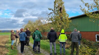 Meldung: Obstbaum-Schnittschulung bei Rhode stößt auf großes Interesse