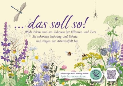 Foto zur Meldung: Einladung der AG Wildblume zum Sammeln von Wildblumensamen