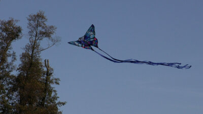 Einige Drachen schafften es auch ohne viel wind in den strahlend blauen Himmel