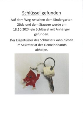 Schlüsselfund (Bild vergrößern)