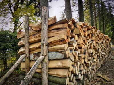 Brennholz