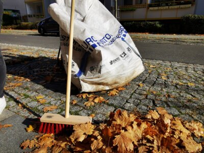 Foto zu Meldung: Stadt Calau testet „Big Bags“ als Unterstützung zur Laubentsorgung