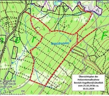 Holzerntemaßnahmen Vogelherd/Lützelloh