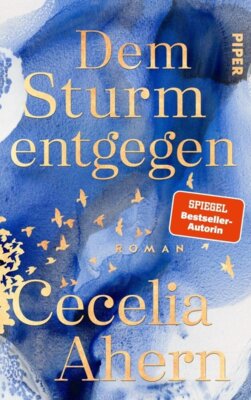 Cecelia Ahern - Dem Sturm entgegen