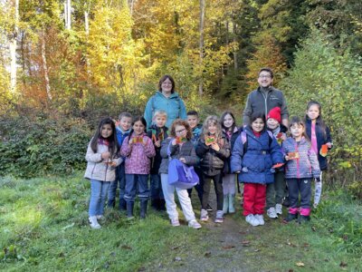 Im Wald: Erstklässler auf Erkundungstour! (Bild vergrößern)