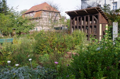 Meldung: 2014 Imkermuseum Weimar mit Führung im Bienengarten