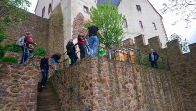 2023 Burg Mildenstein mit Burgbienenstand und Turmbienen gemeinsam mit Imkerverein Leisnig