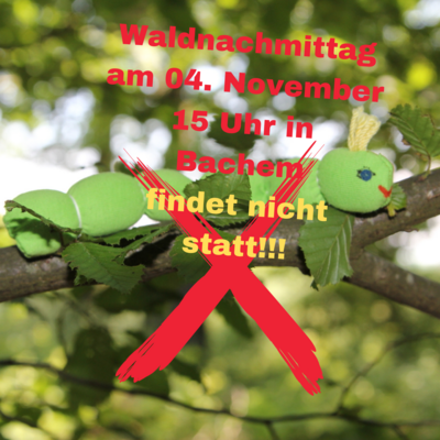 Fotocollage: Canva (Bild vergrößern)