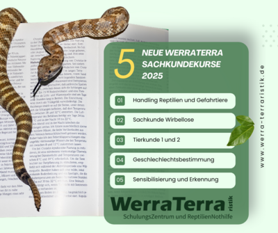 Schulungen und Seminare 2025 (Bild vergrößern)