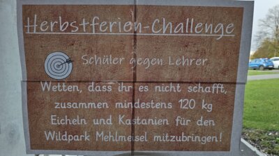Challenge-Day vor den Herbstferien (Bild vergrößern)