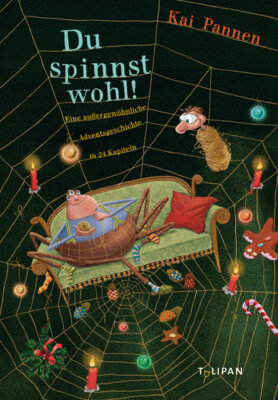 Kai Pannen - Du spinnst wohl! - Eine außergewöhnliche Adventsgeschichte in 24 Kapiteln