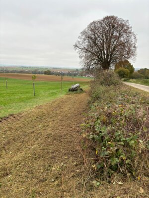 Landschaftsverschönerungsmaßnahmen an dem Gelände der Streuobstwiese