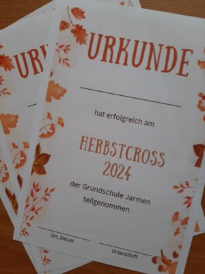 So sehen die Urkunden aus, die alle Kinder für ihre Teilnahme erhalten haben.