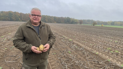 "Auf eine Stelle nach dem Komma will ich mich nicht festlegen, aber in jedem Fall ist das Jahr 2024 ein Rekordjahr für Niedersachsens Kartoffel-Erzeuger“, sagt Pflanzenbauexperte Thorsten Riggert Foto: Landvolk