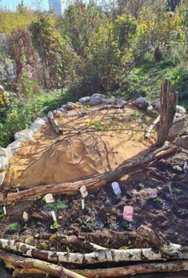 iNUVERSUMM Workshop Bau eines Sandariums für Wildbienen (Bild vergrößern)