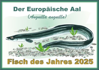 Fisch des Jahres 2025