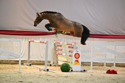 Foto. Björn Schroeder (Bild vergrößern)