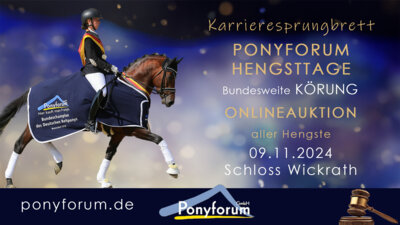 Ponyforum GmbH: Ponyforum Hengsttage am 10. November 2024 (Bild vergrößern)