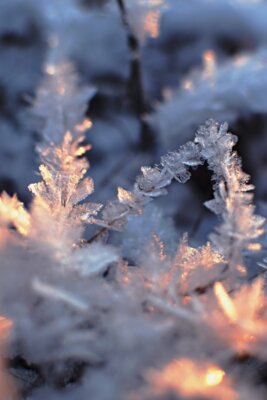 Auf den Friedhöfen wird während der Frostperiode das Leitungswasser abgestellt