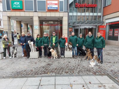Stadttraining 02.11.2024 (Bild vergrößern)