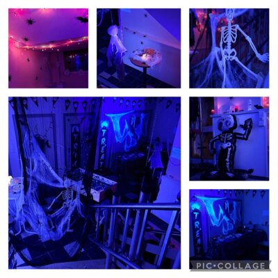Meldung: Bilder vom Kürbisschnitzen und Halloween-Party eingestellt