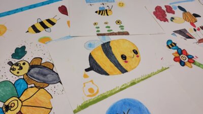 Bilder für das GrüZi