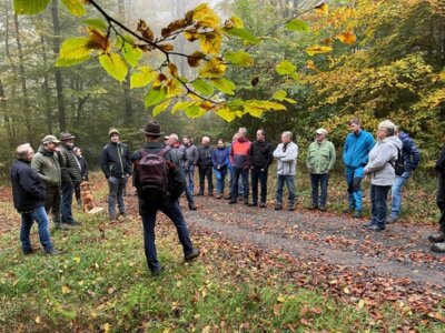 Waldbegehung der Ortsgemeinde Rüscheid am 26.10.2024