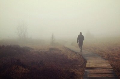 Planfeststellungsverfahren für das Vorhaben „Moorrevitalisierung in der Torfgraben-Niederung (südliches Randowbruch)“