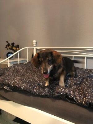 Ein letzter Gruß an Lucy (Bild vergrößern)