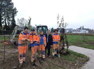 Neue grüne Oase in Mainburg: Ein barrierefreier Park an der Köglmühle entsteht (Bild vergrößern)
