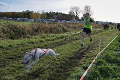 Meldung: Schlittenhunderennen in Elsholz