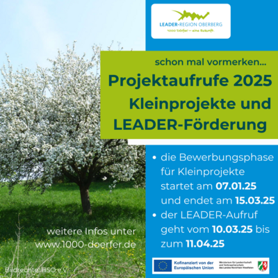 Meldung: Projektaufrufe 2025