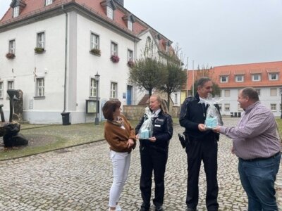 ©Stadt Falkenstein/Harz (Bild vergrößern)