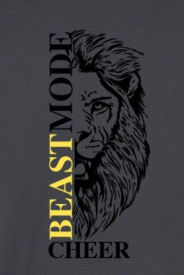 „Beastmode Revolution“ startet in Blitzenreute – Jetzt Cheerleading ausprobieren und Teil des neuen Teams werden! (Bild vergrößern)