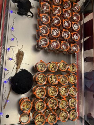 Hexen, Zombies und Geister: Spuktober am Fritz-Greve-Gymnasium! (Bild vergrößern)