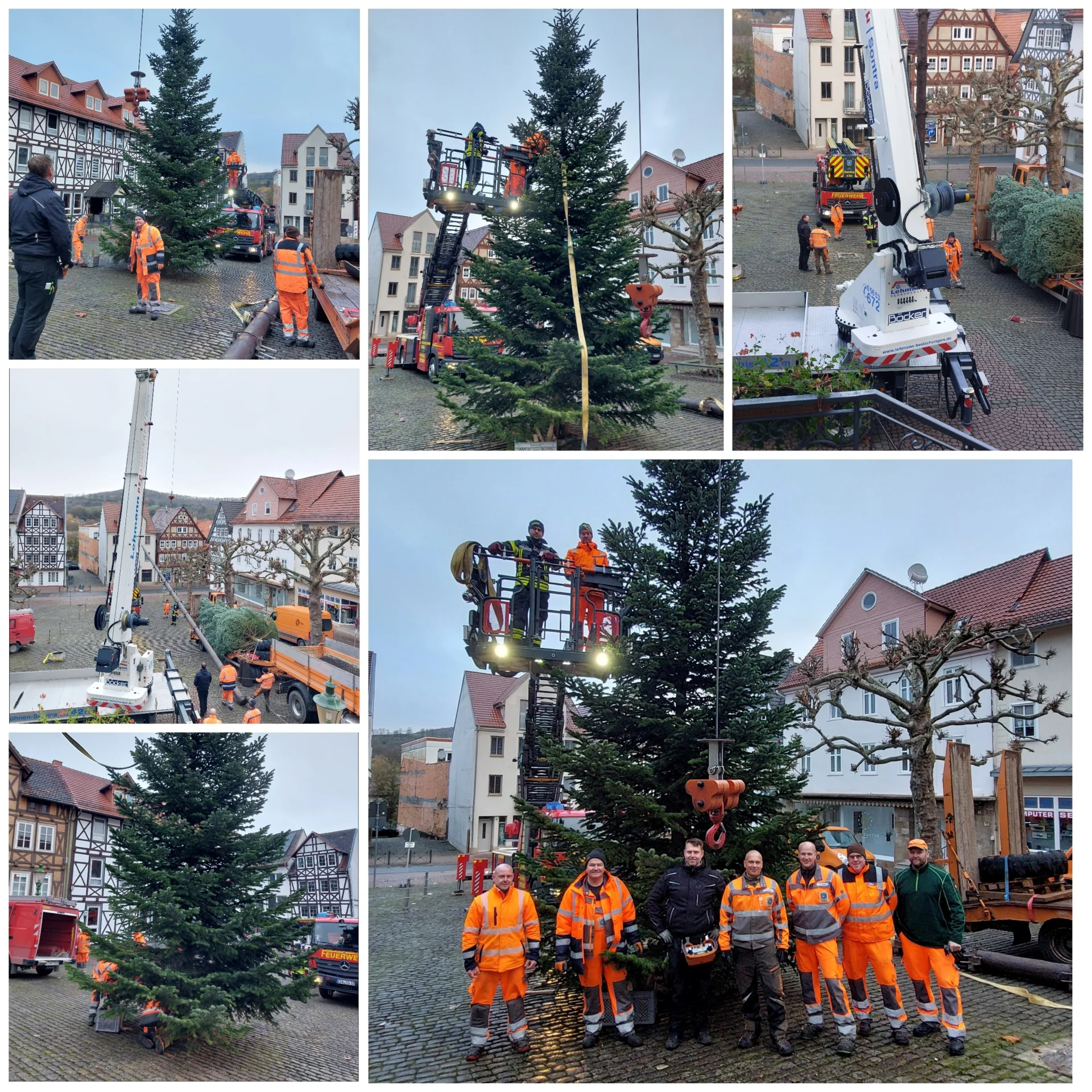 Aufstellen des Weihnachtsbaumens