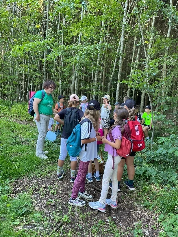 Waldbaden 1