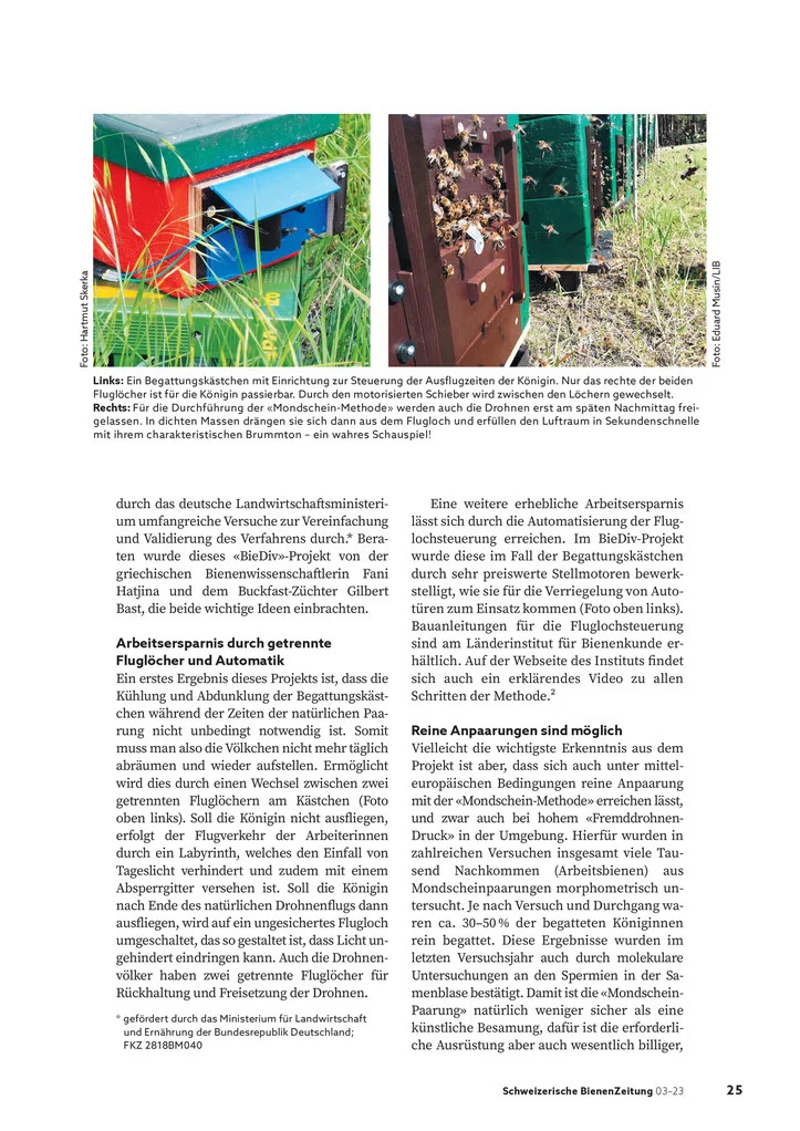 image Paarungskontrolle 2