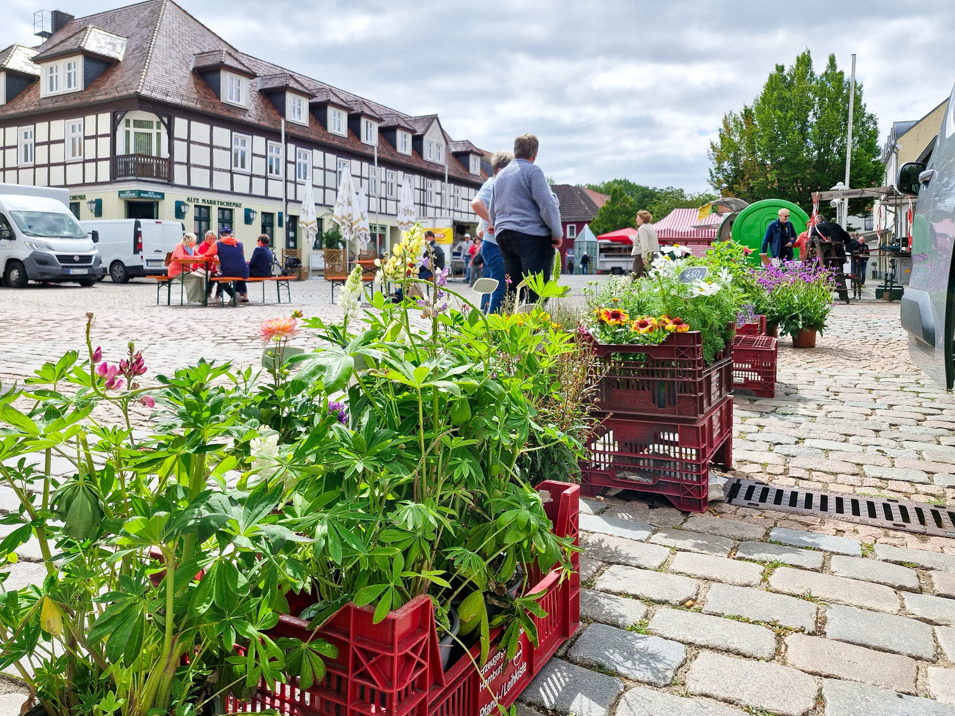 Pflanzen und Blumen waren auch zu haben. Foto: Stadt Pritzwalk
