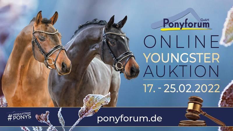 Plakat Online Youngster Auktion