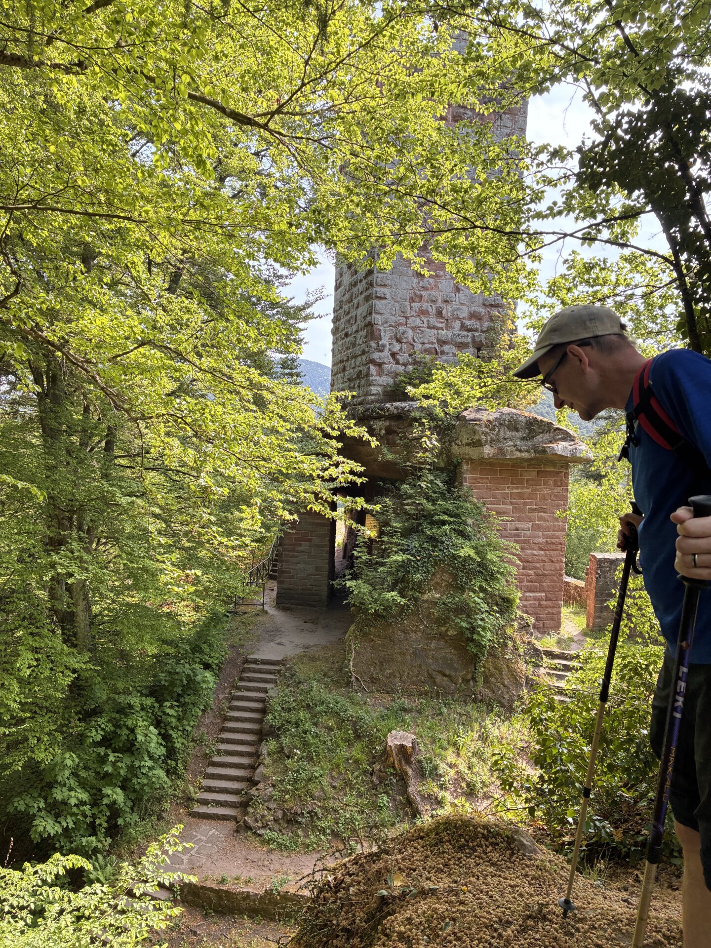 Wanderwochenende Pfalz