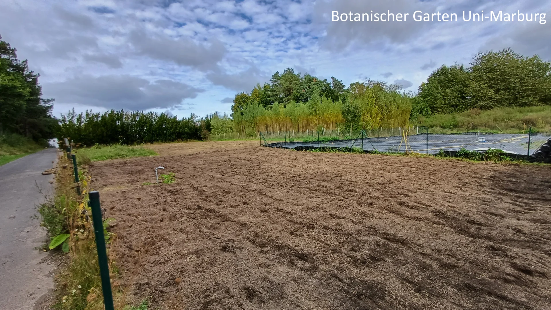 Botanischer Garten