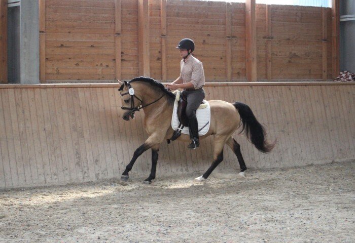 700x480-crop-90-rabbits_winnie_puh_mit_nico_mueller_in_in_der_abschlusspruefung