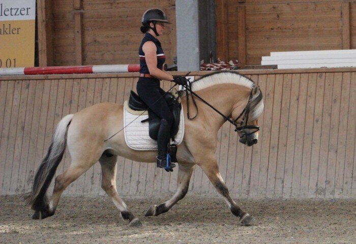 700x480-crop-90-testreiterin_corrina_kuehler_mit_dylano