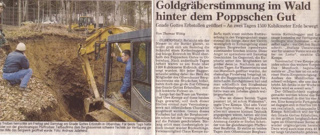 Goldgräberstimmung im Wald hinter dem Poppschen Gut